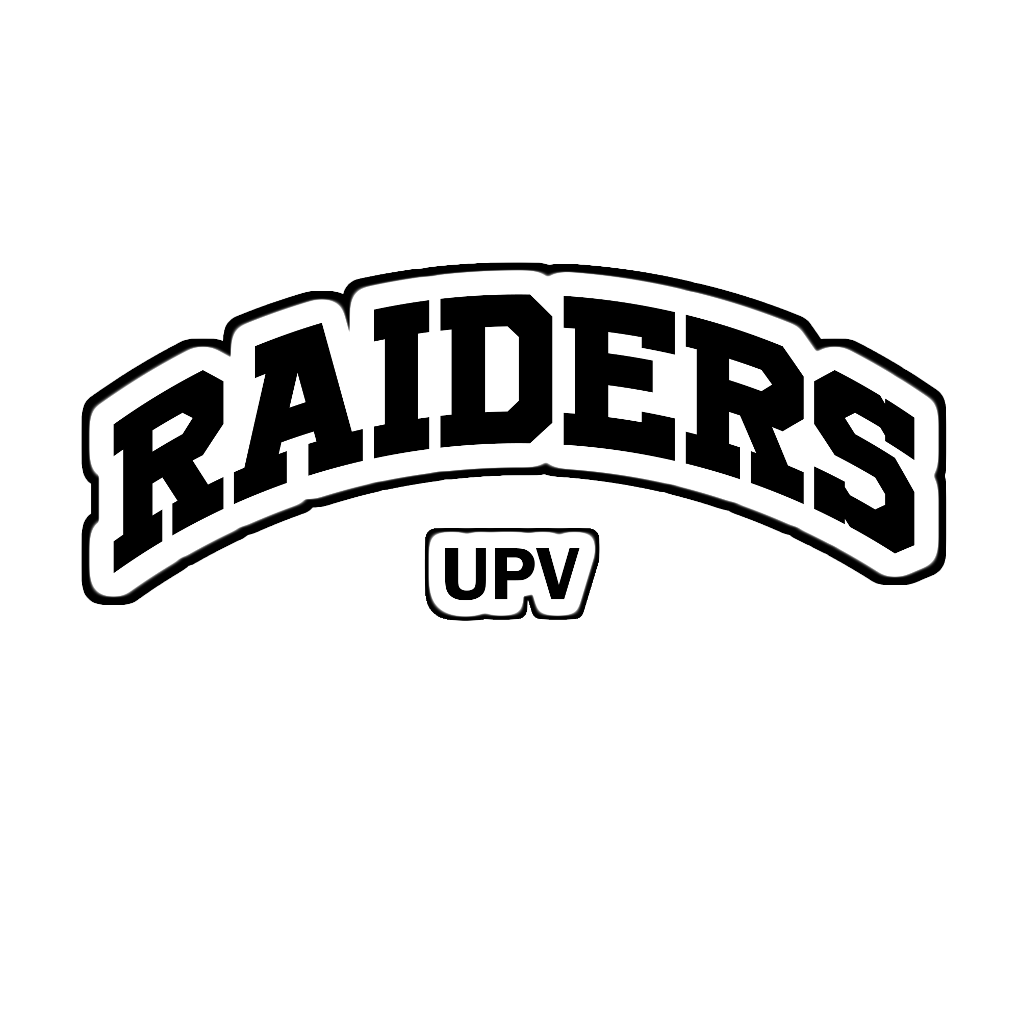 Raiders UPV